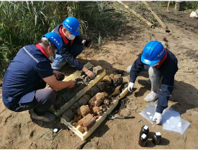 华体app登录入口